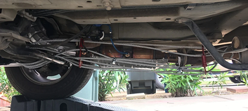 CatClamp Image