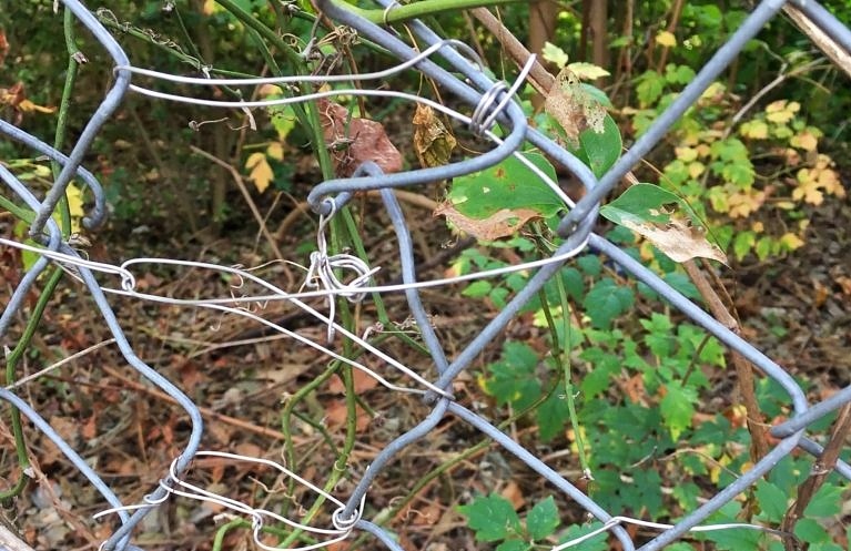 paper clips used to improperly fix a perimeter security fence