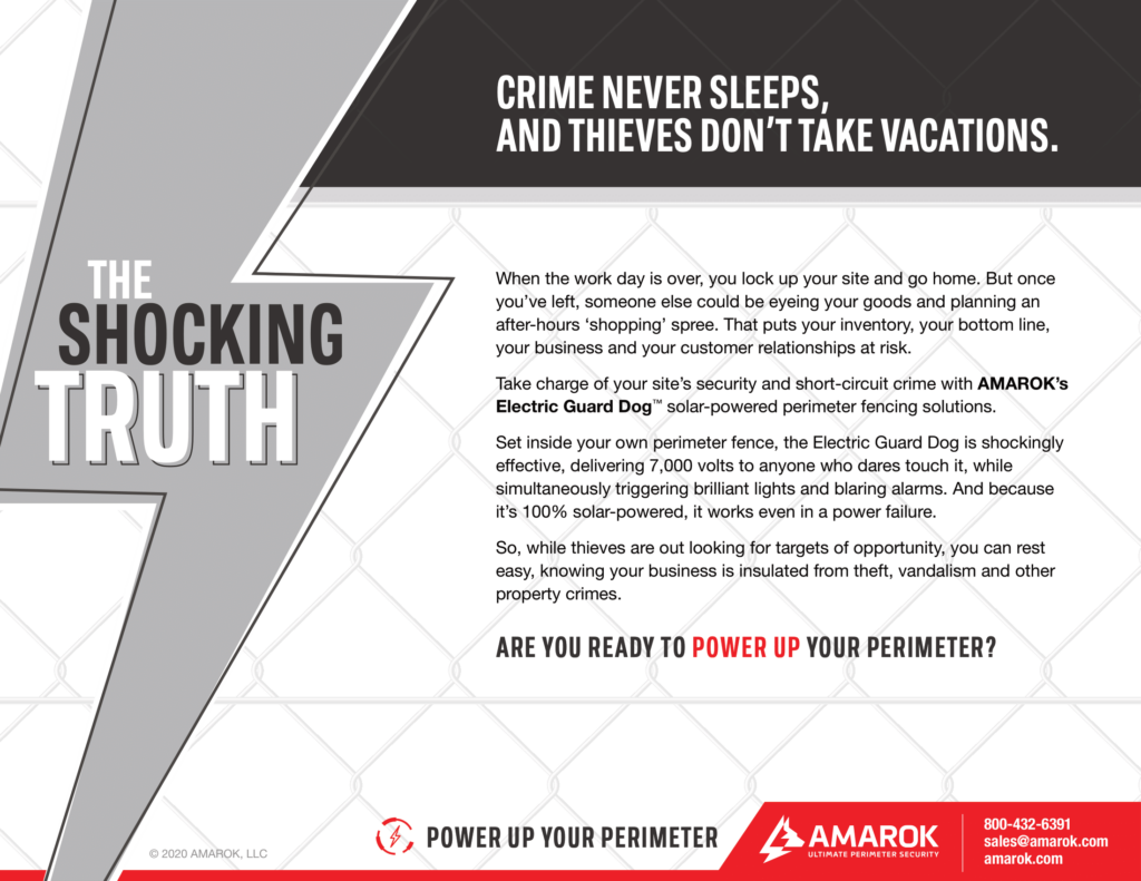 Crime Never Sleeps, And Thieves Don't Take Vacations