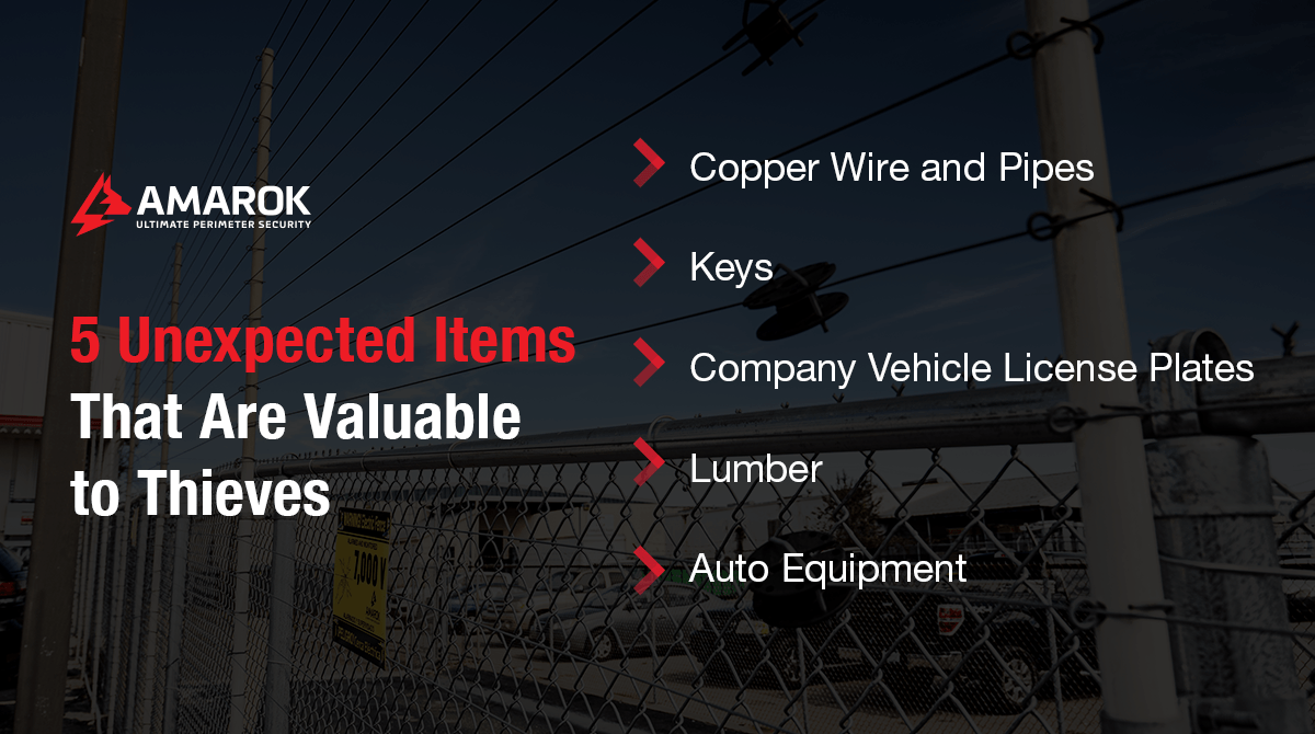 Unexpected Items that are Valuable to Thieves