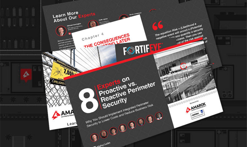 8 Experts on Proactive vs Reactive Perimeter Security