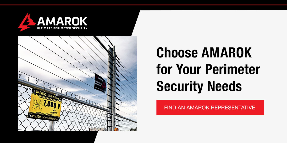 Choose AMAROK  to stop theft