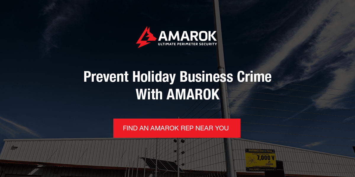 Prevent holiday business crime