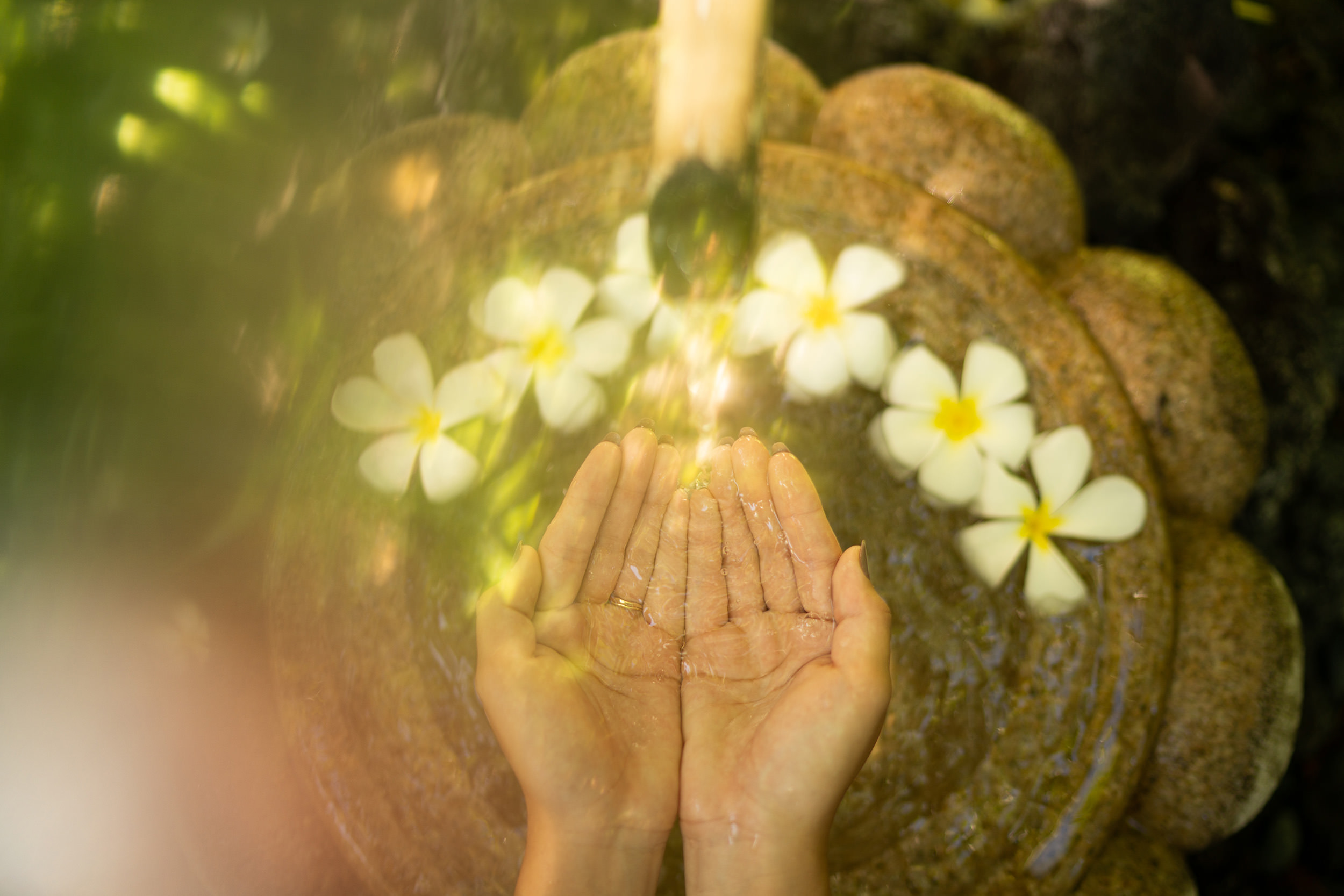 A Woman is Holding Water in Her Hands in Front of Flowers