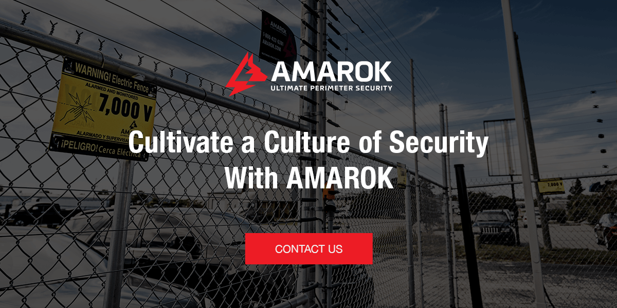 Cultivate a Culture of Security With AMAROK