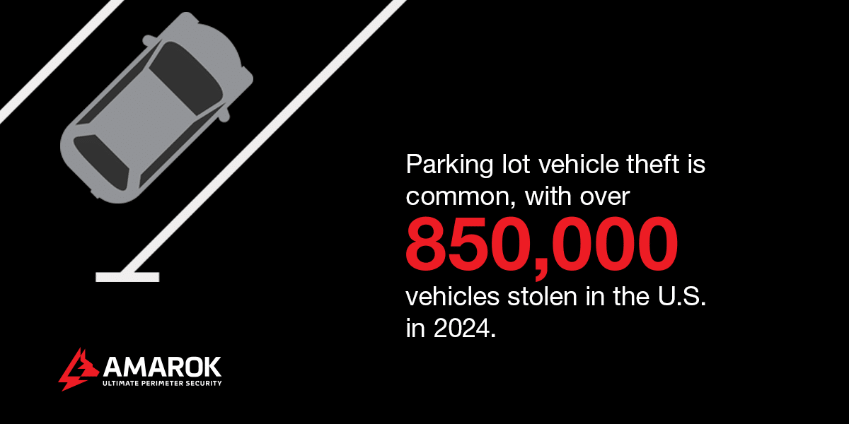 Parking Lot Vehicle Theft