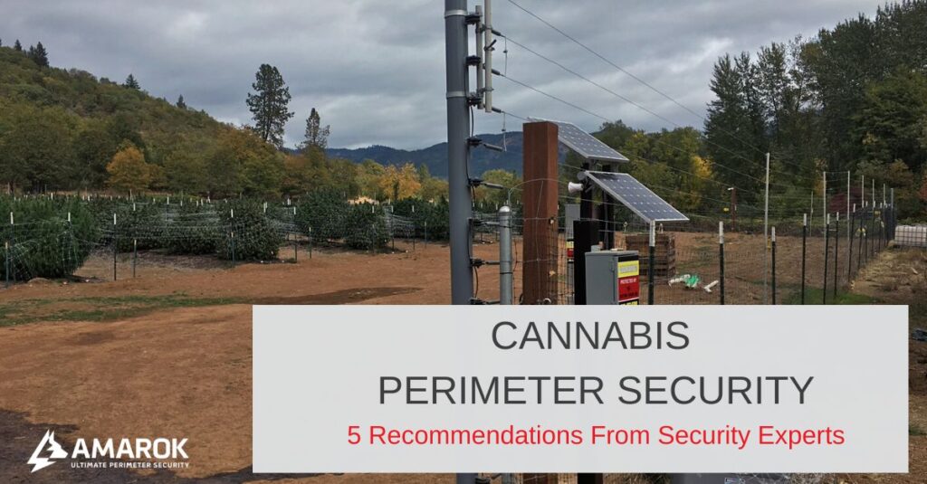 Cannabis Perimeter Security Recommendations