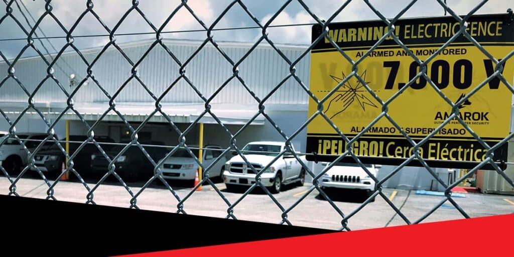 How to Prevent Organized Crime: A Guide for Businesses