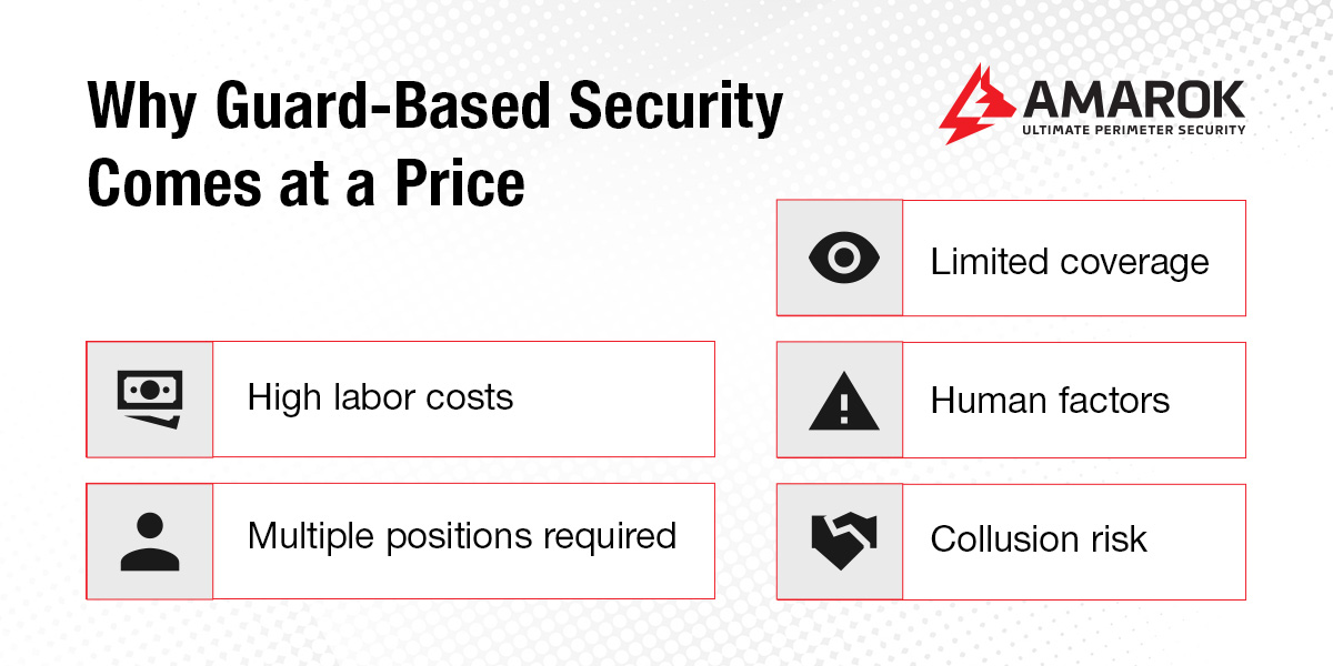 The Costs of Depending on Guard Labor