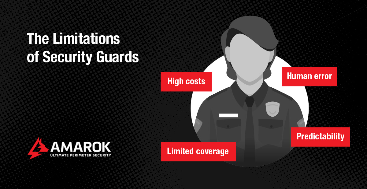 The Limitations of Security Guards