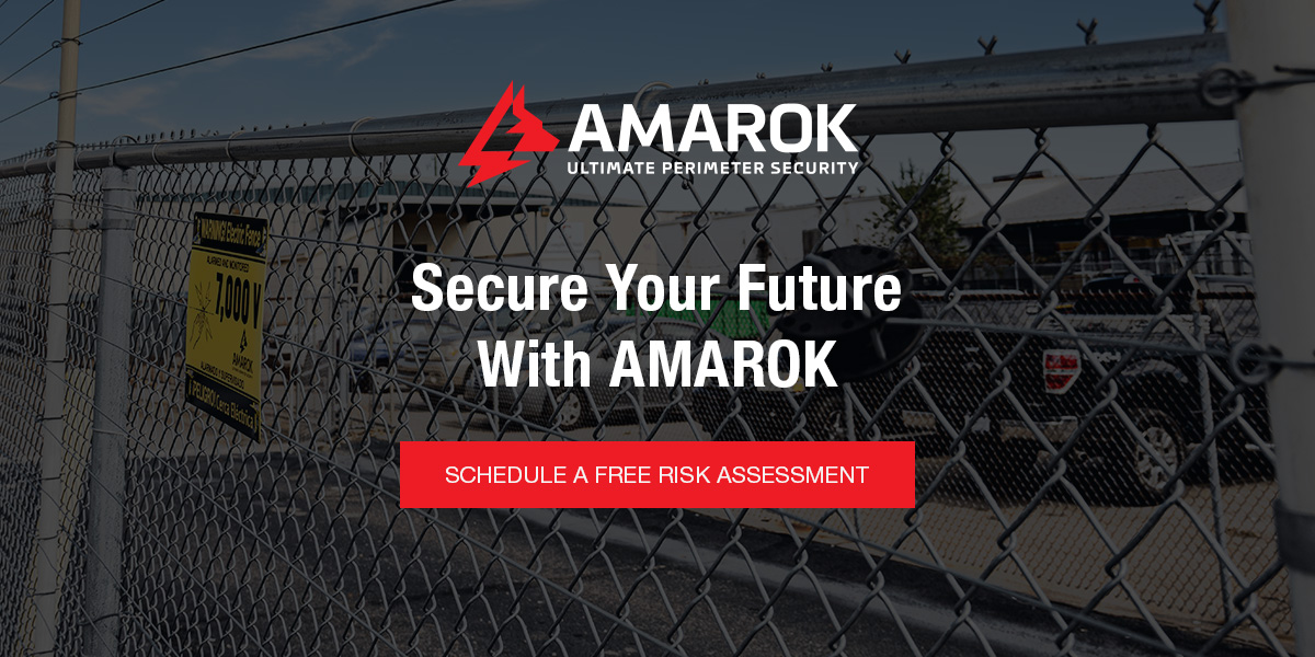 Secure Your Future With AMAROK
