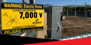 Best Security Solutions for Government Facilities