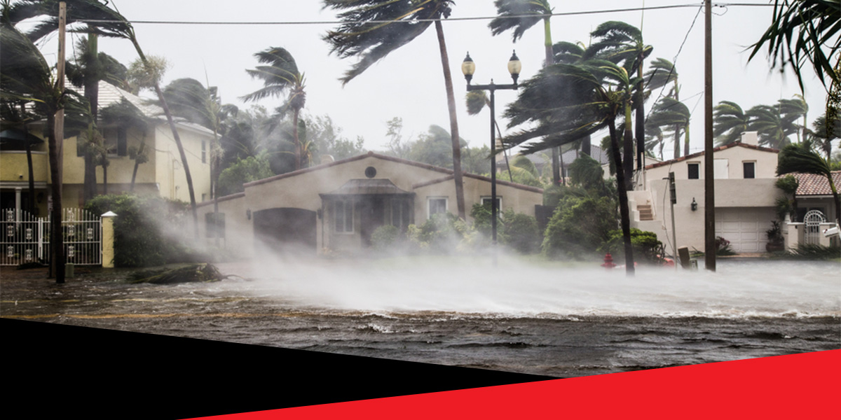 Ways to Survive the Hurricane of Property Crime